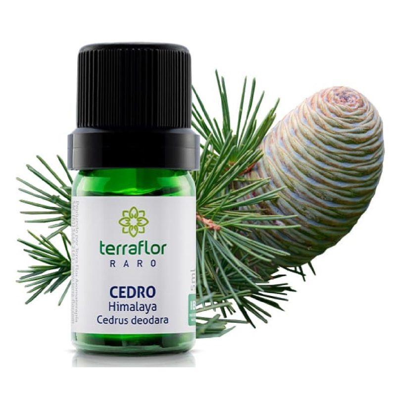 Óleo Essencial Cedro Himalaya 5ml Terra Flor - Image 2